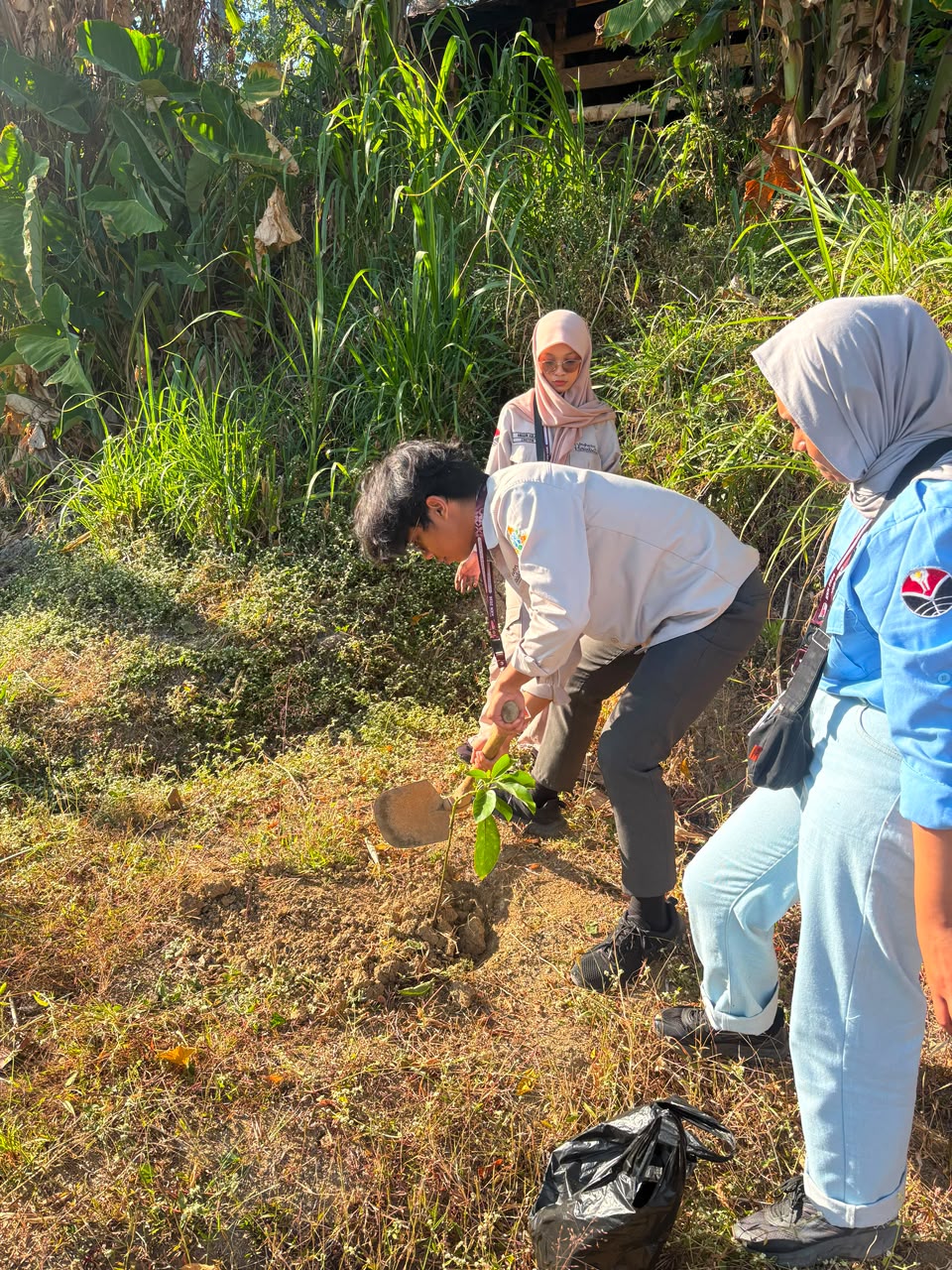 Penanaman Bibit Pohon di Dusun Ciawi